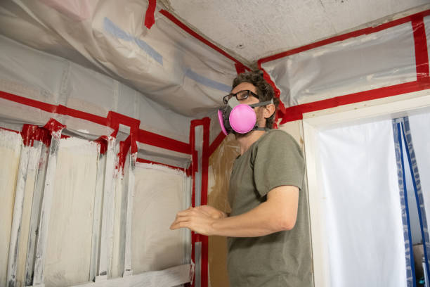 Professional Mold Removal in Eldorado At Santa Fe, NM